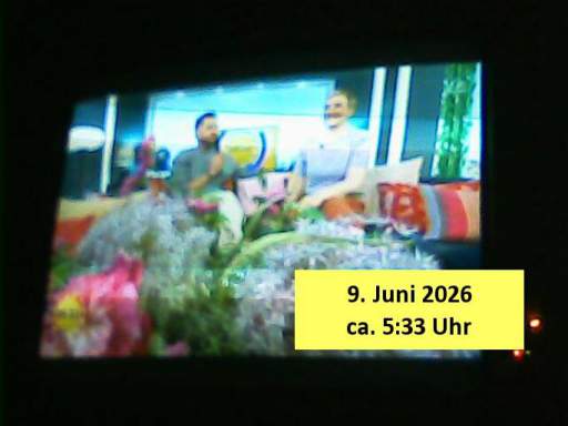202606090533-0-1.jpg