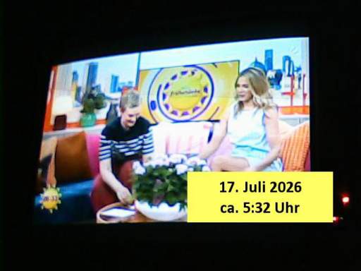 202607170532-0-1.jpg