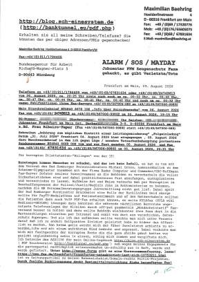 202608091200-0-1.jpg